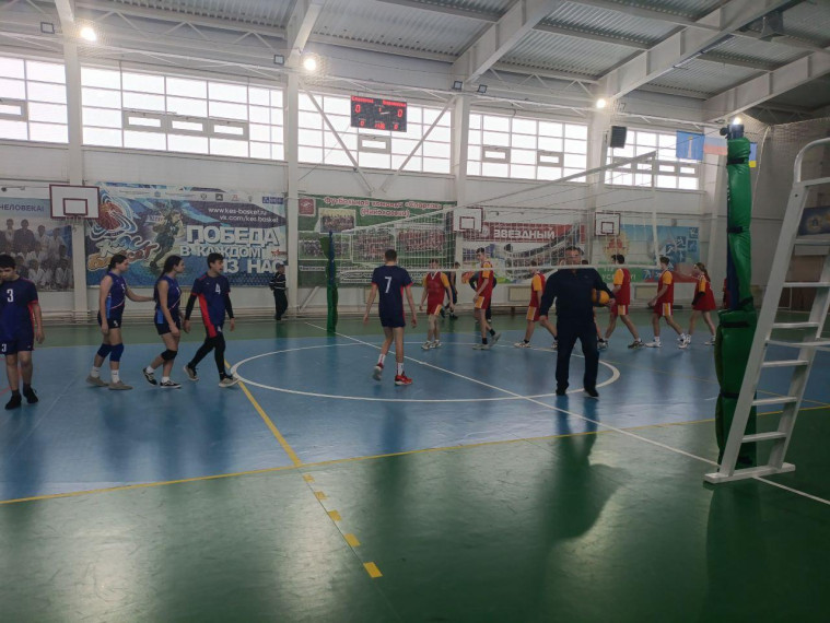 соревнования по волейболу.